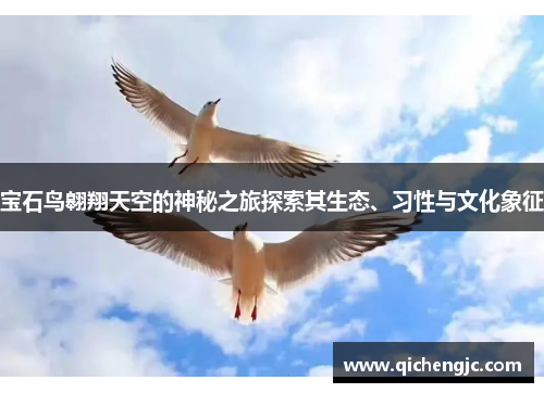 宝石鸟翱翔天空的神秘之旅探索其生态、习性与文化象征