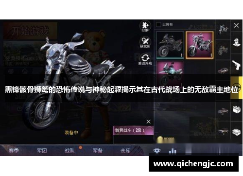 黑锋骸骨狮鹫的恐怖传说与神秘起源揭示其在古代战场上的无敌霸主地位
