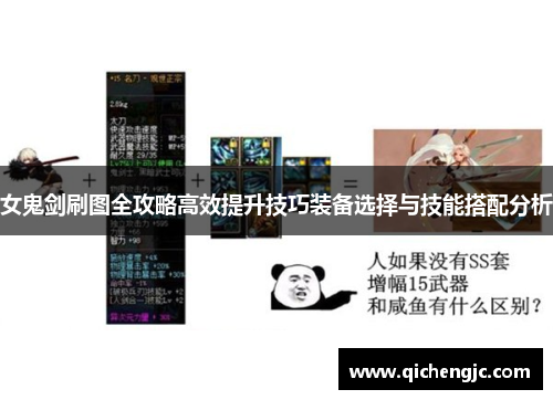 女鬼剑刷图全攻略高效提升技巧装备选择与技能搭配分析