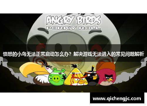 愤怒的小鸟无法正常启动怎么办？解决游戏无法进入的常见问题解析