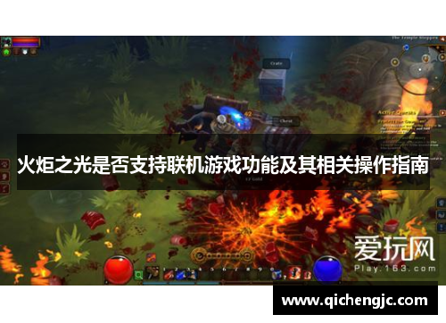 火炬之光是否支持联机游戏功能及其相关操作指南